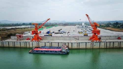 廣西百色 粵港澳大灣區(qū)集裝箱班輪航線(xiàn)開(kāi)通